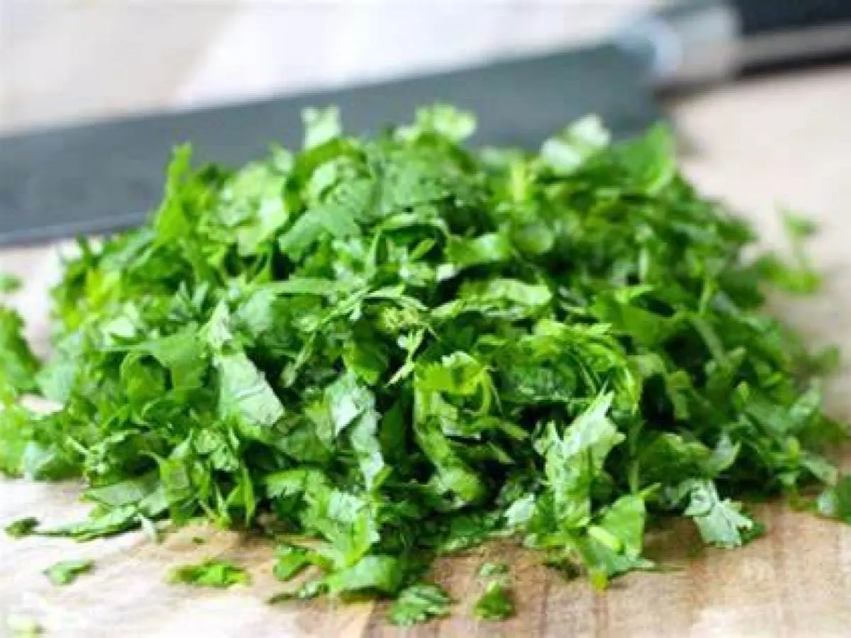 Fresh Cilantro Fresh Cilantro