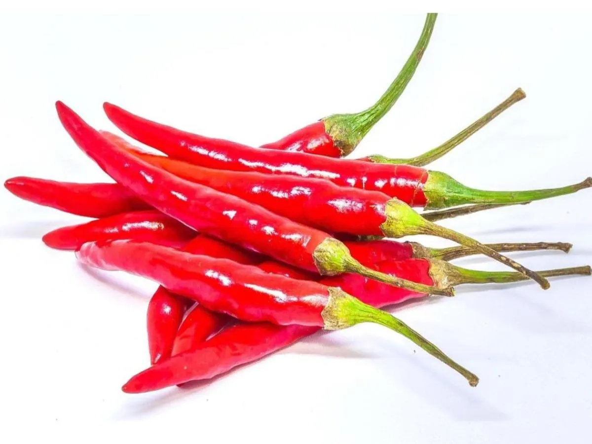 Thai Chilies