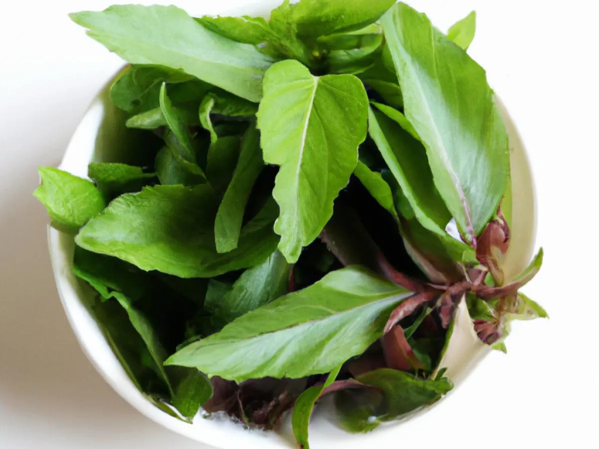 Fresh Thai Basil