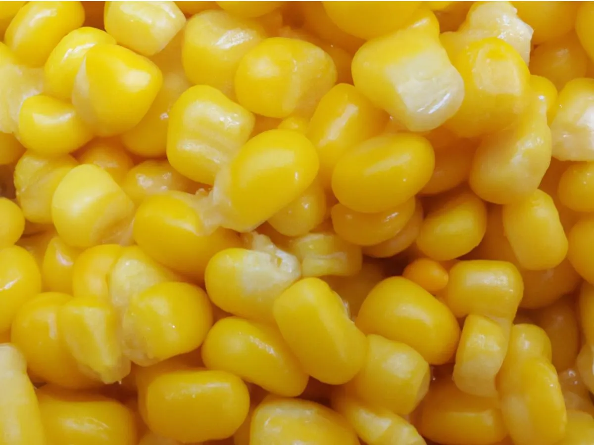Corn Corn