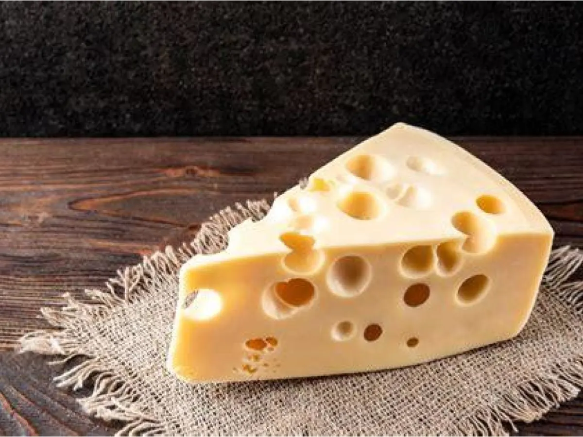 Swiss Cheese Swiss Cheese