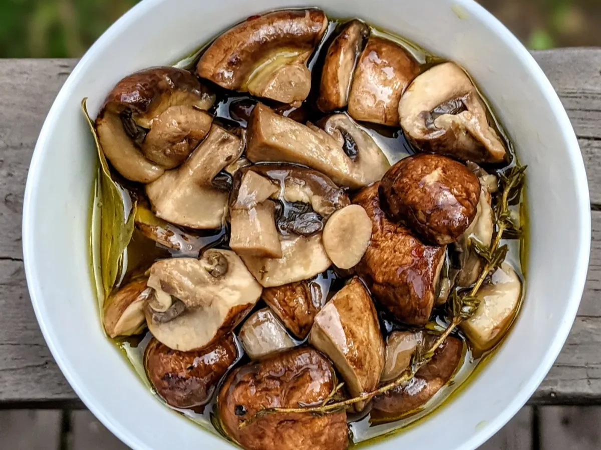 Shiitake Mushrooms Shiitake Mushrooms