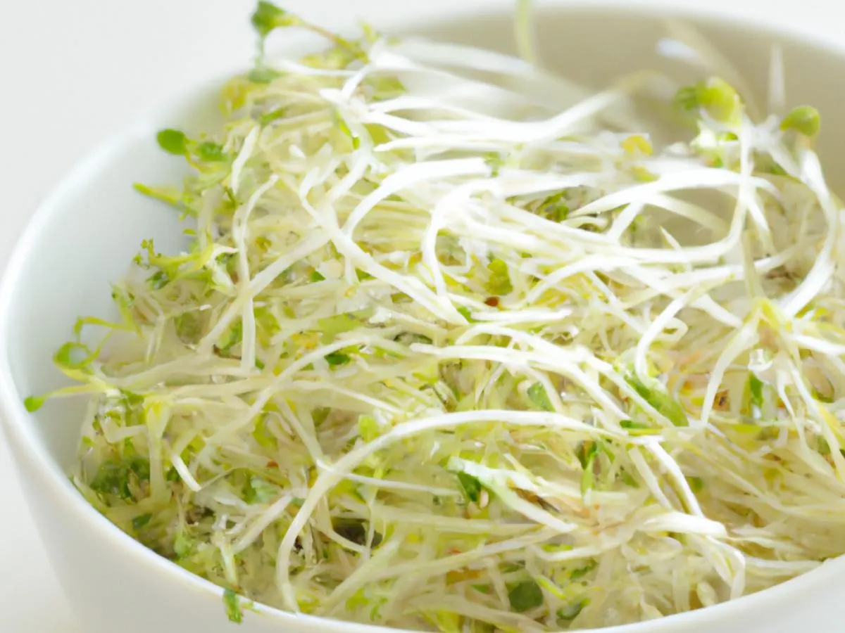 Daikon Sprouts Daikon Sprouts