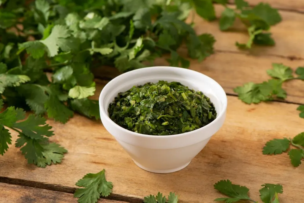 Cilantro Cilantro
