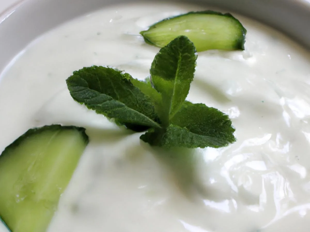 Yogurt Sauce Yogurt Sauce