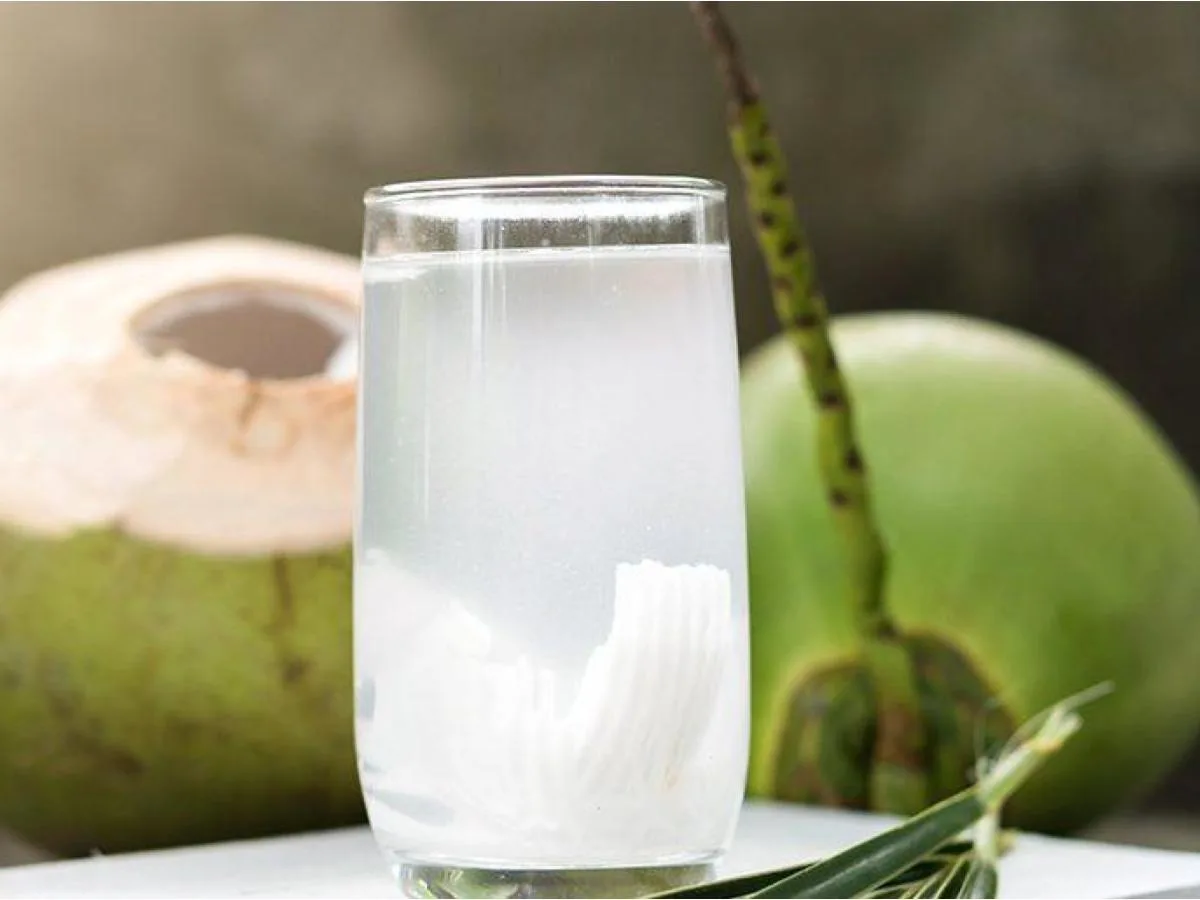 Young Coconut Water Young Coconut Water
