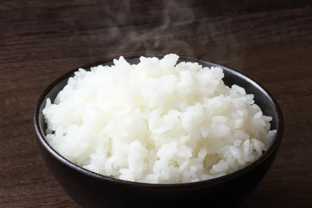 Steamed Rice Steamed Rice