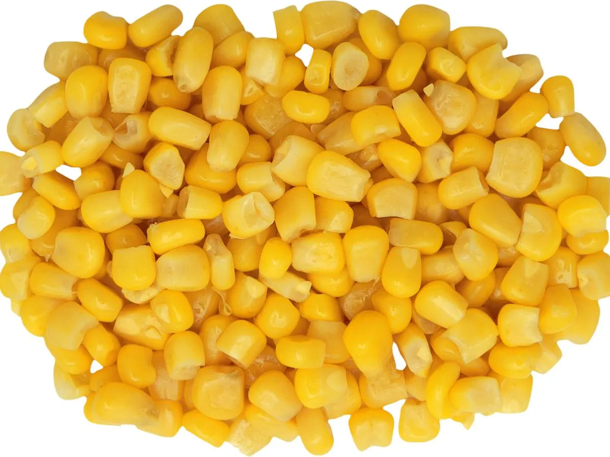 Corn Corn