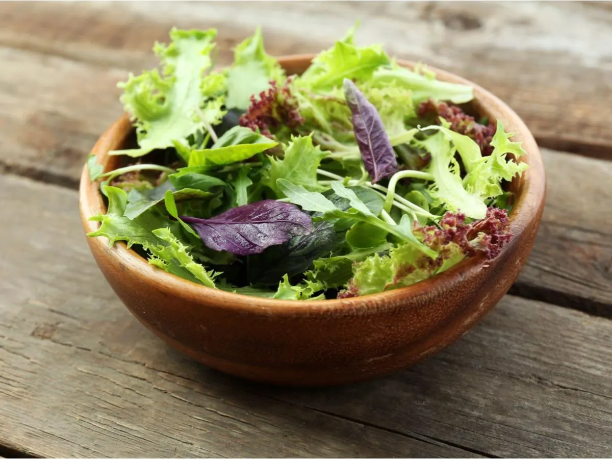 Spring Mix Spring Mix