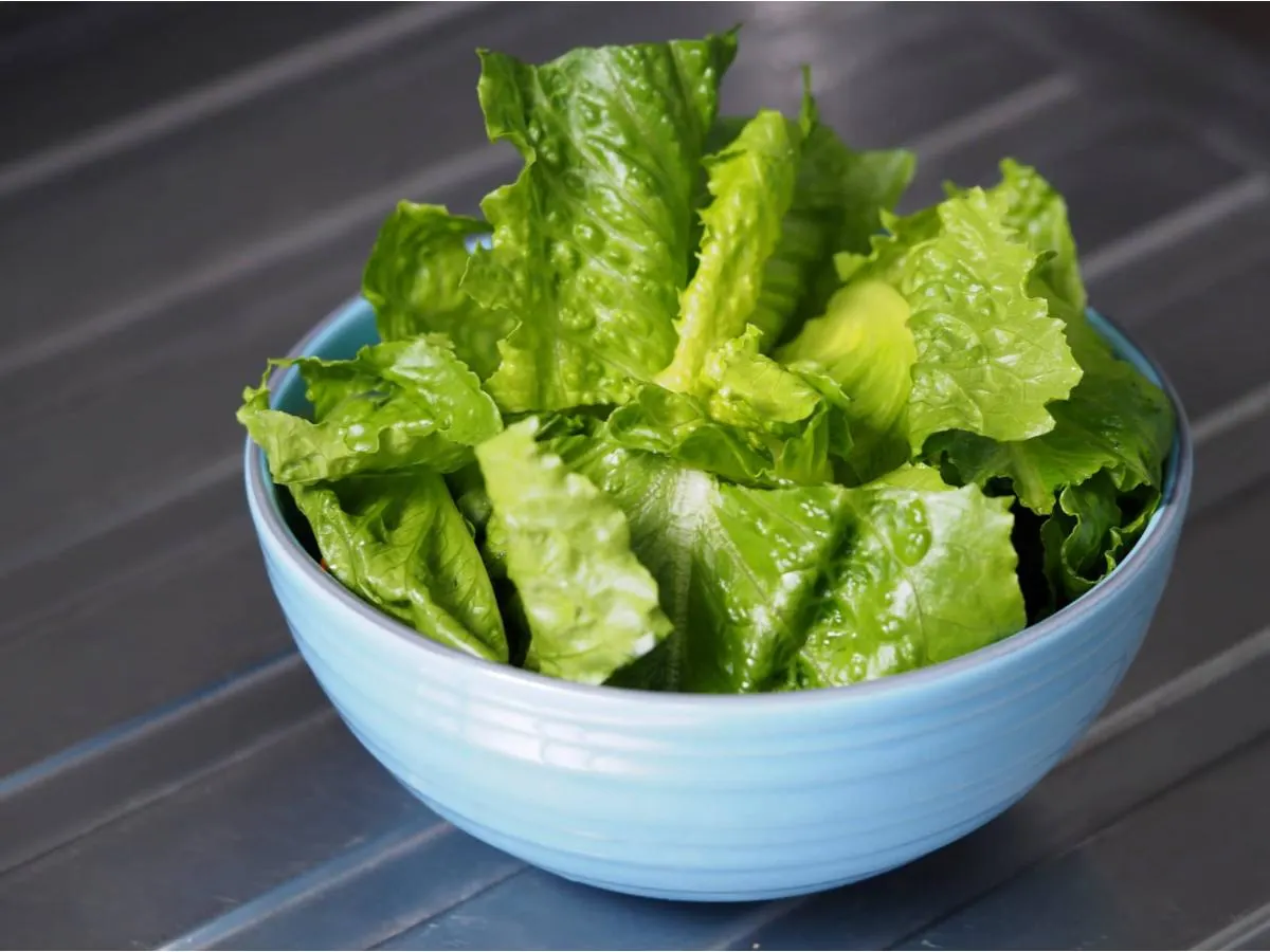 Romaine Romaine