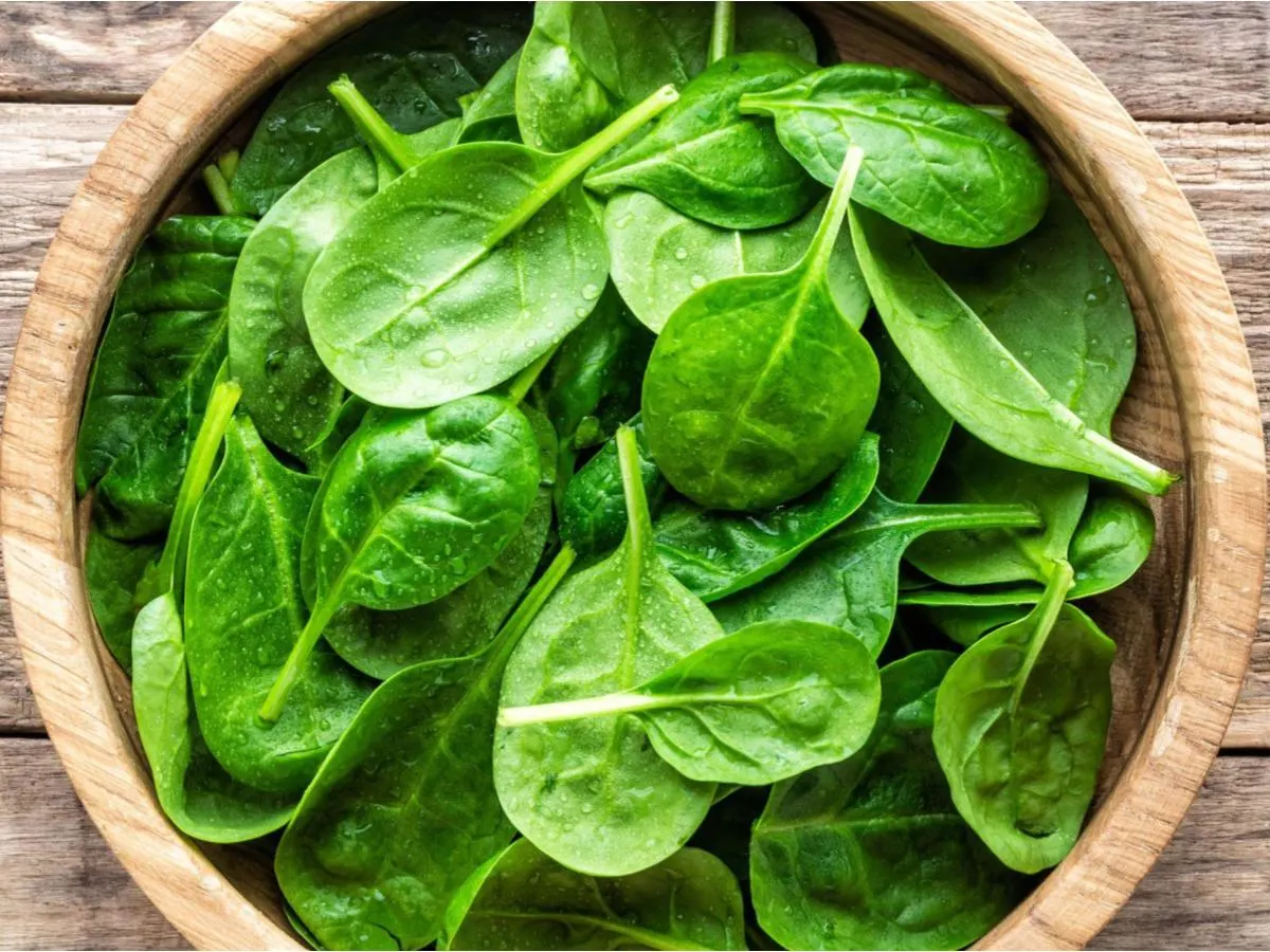 Spinach Spinach