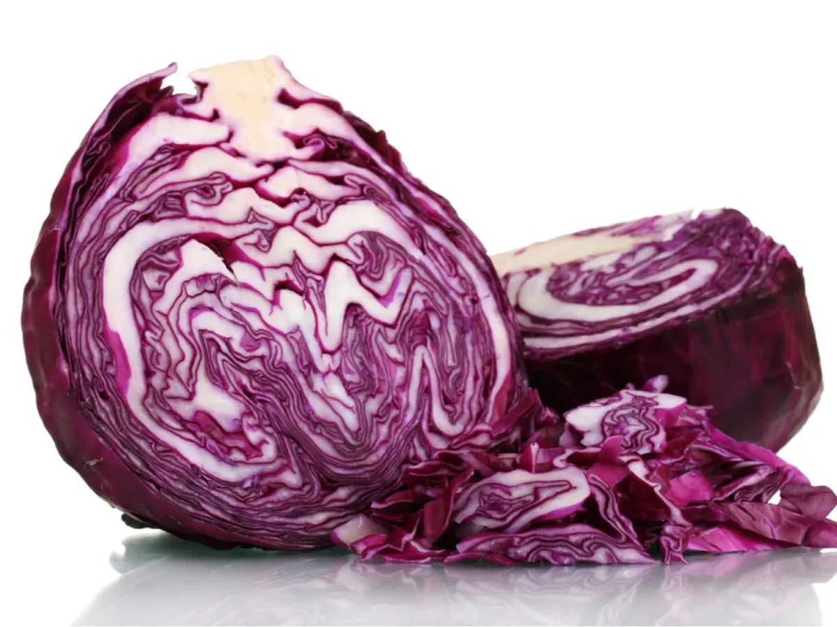 Red Cabbage Red Cabbage