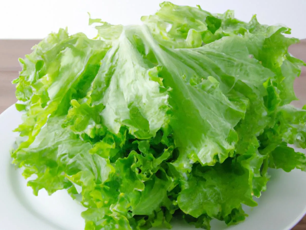 Lettuce Wrap Lettuce Wrap