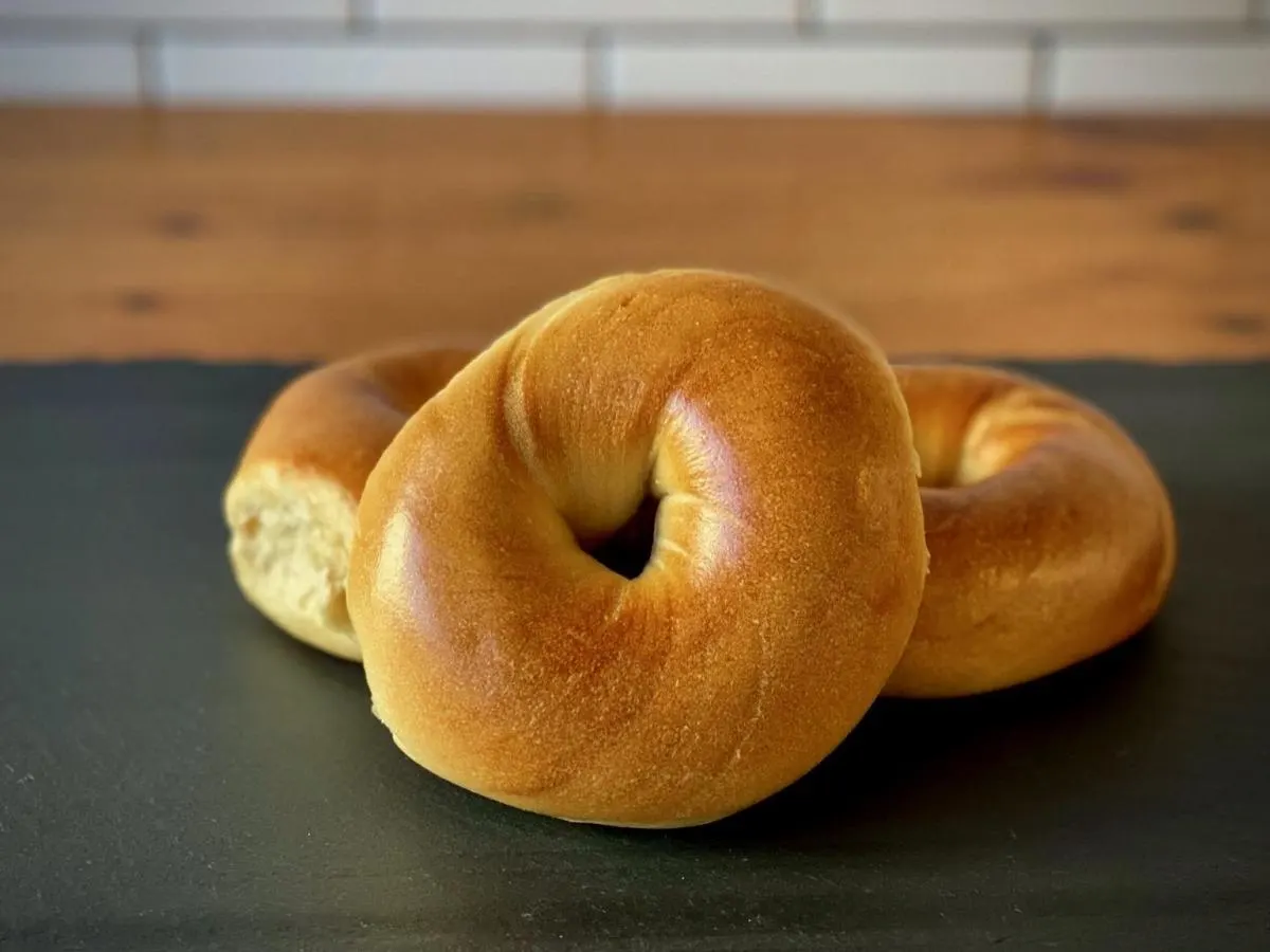 Plain Bagels Plain Bagels