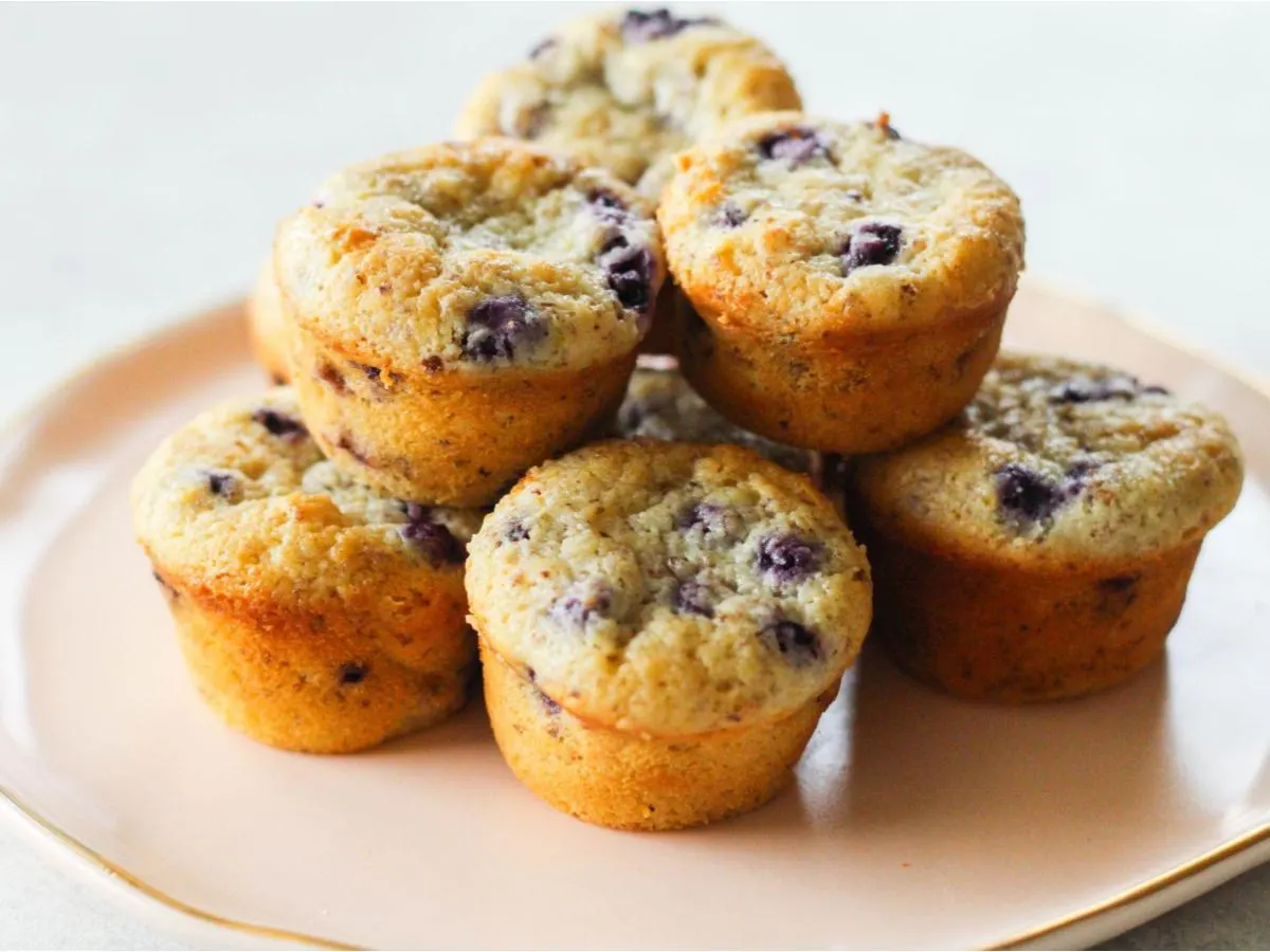 Mini Blueberry Muffin Mini Blueberry Muffin