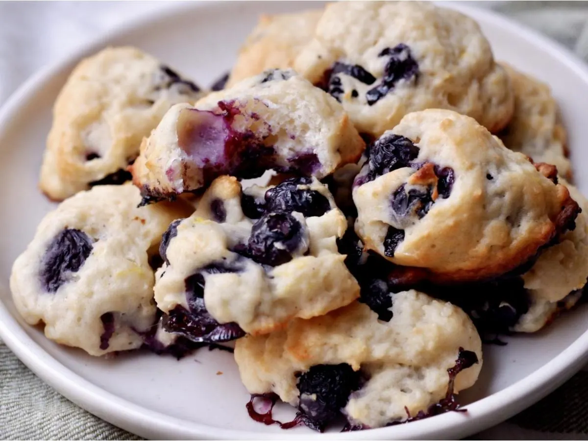 Mini Blueberry Scone Mini Blueberry Scone