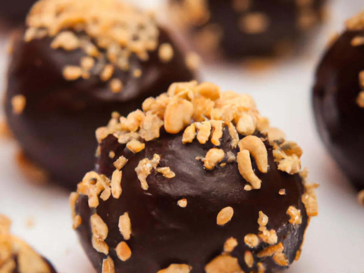 Chocolate Peanut Cakeball (Vegan) Chocolate Peanut Cakeball (Vegan)