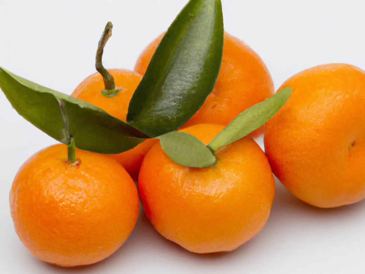 Mandarine Oranges Mandarine Oranges