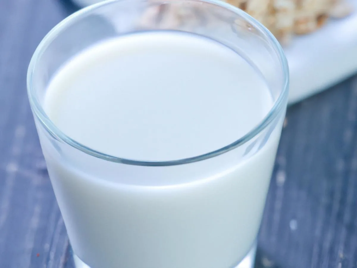 Oat Milk Oat Milk