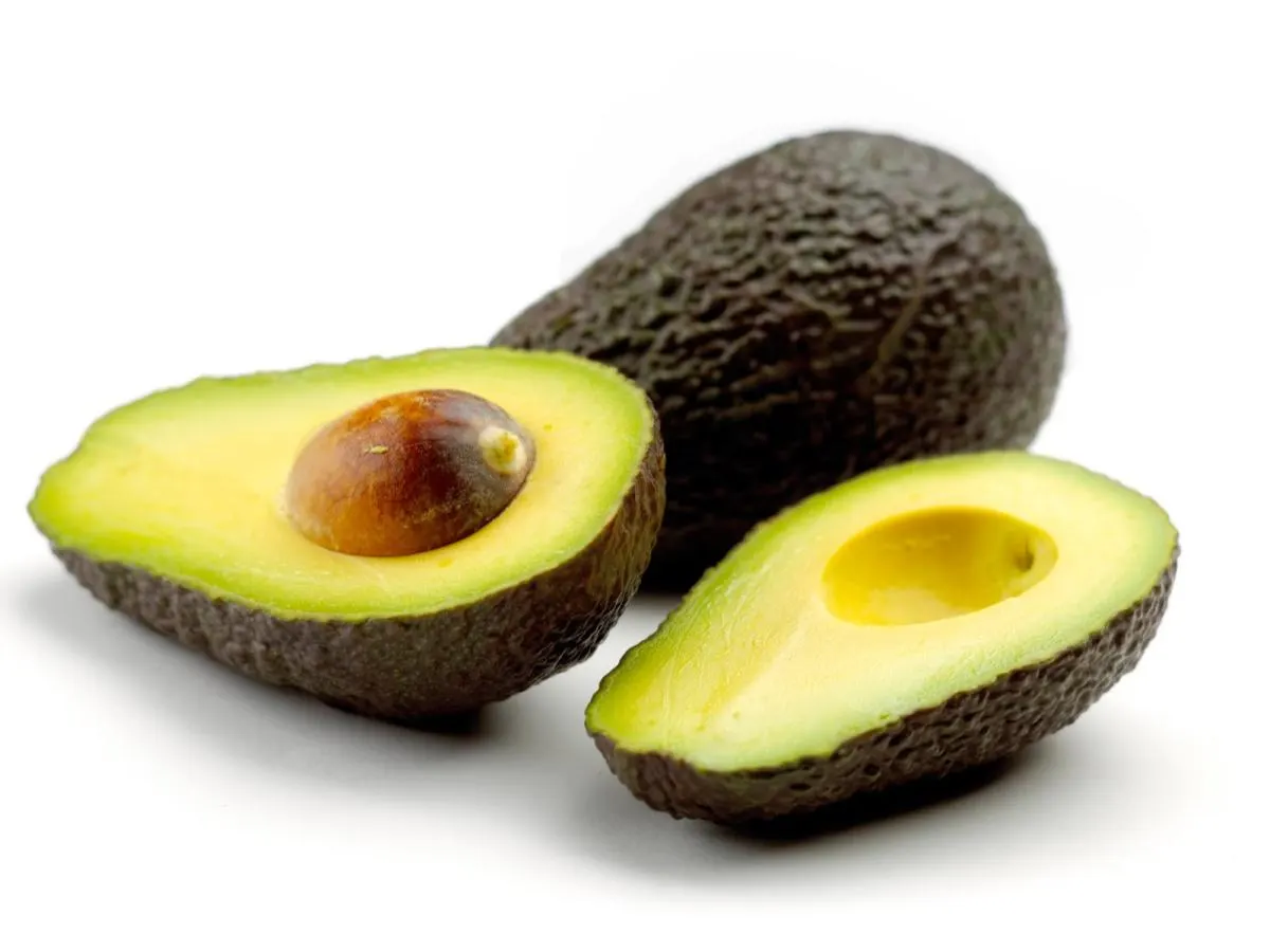 Avocado Avocado