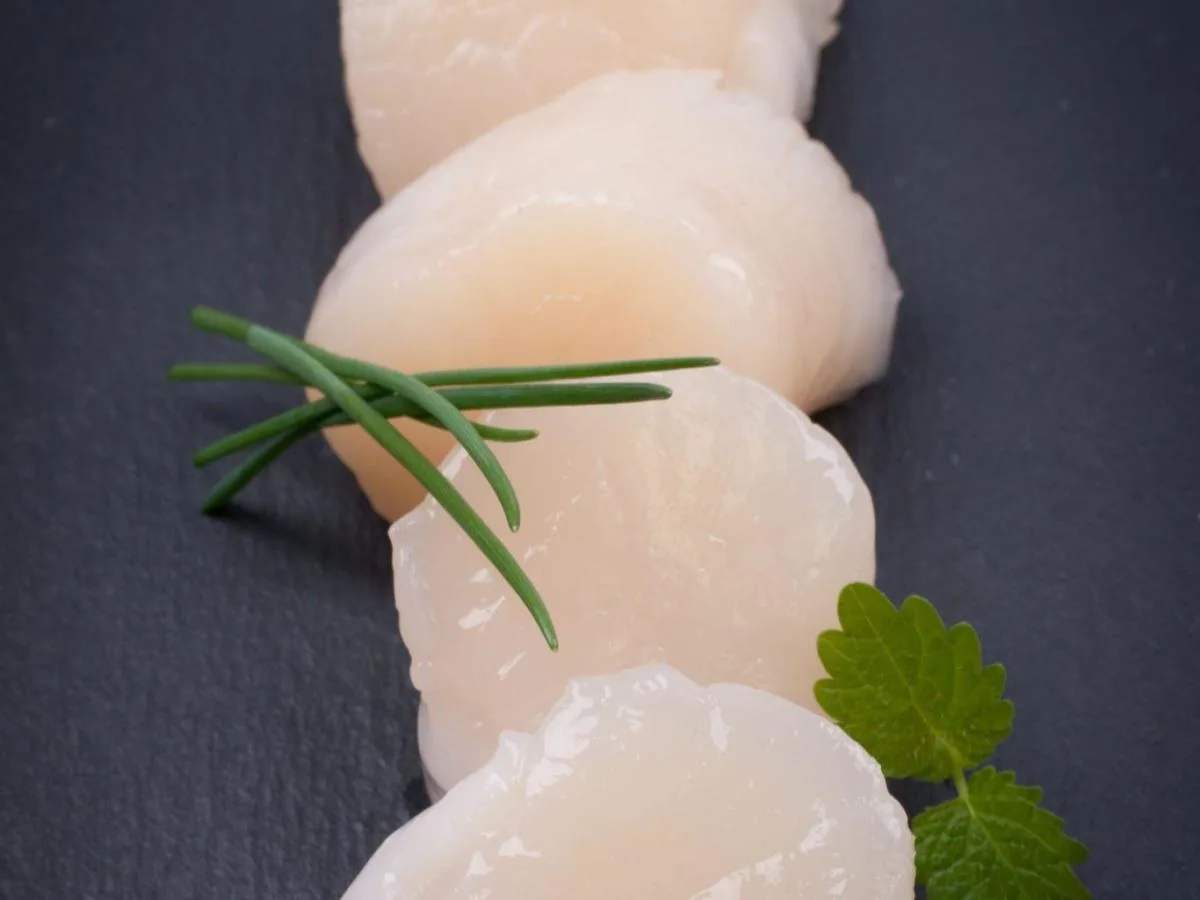 Scallop - Sashimi Scallop - Sashimi
