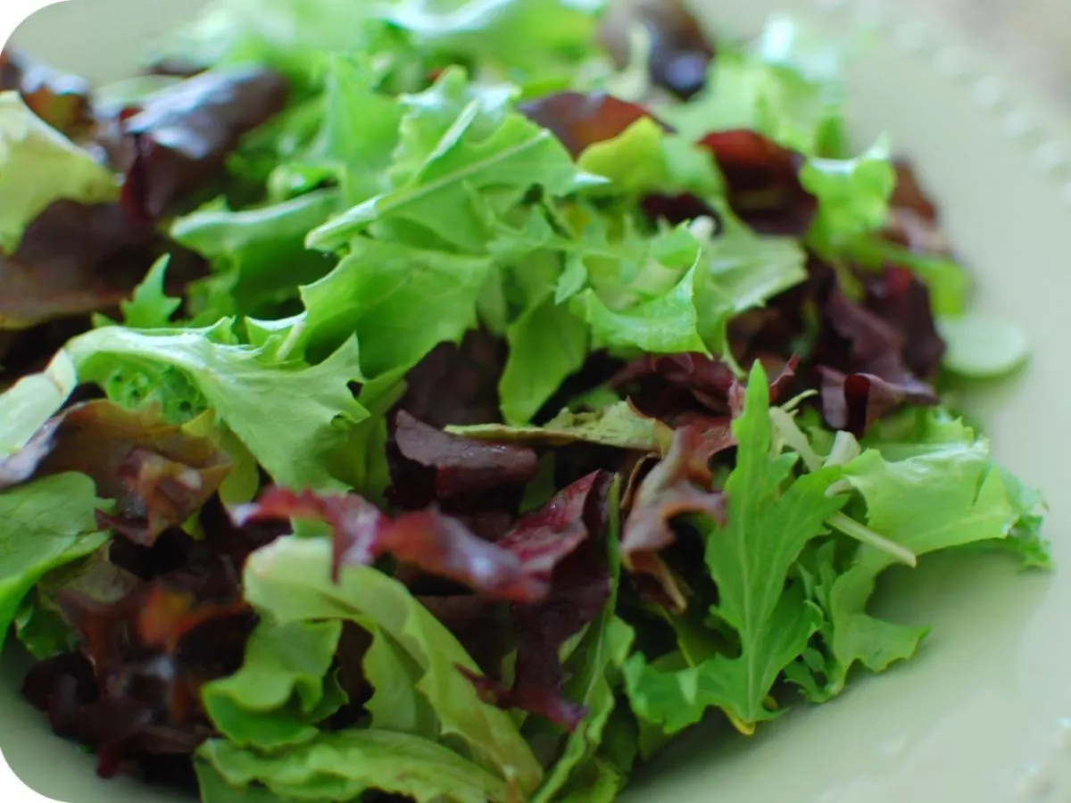 Mixed Greens Mixed Greens