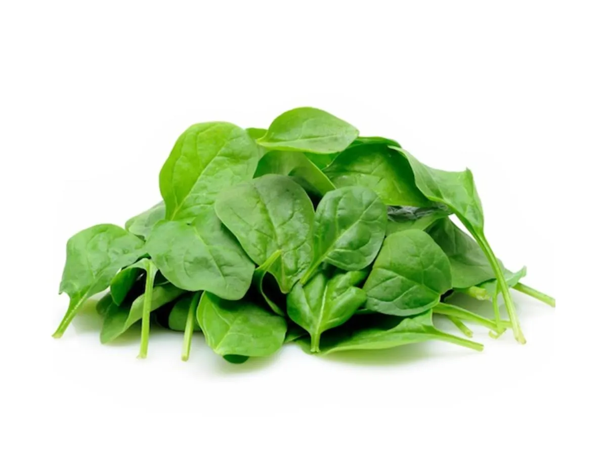 Baby Spinach