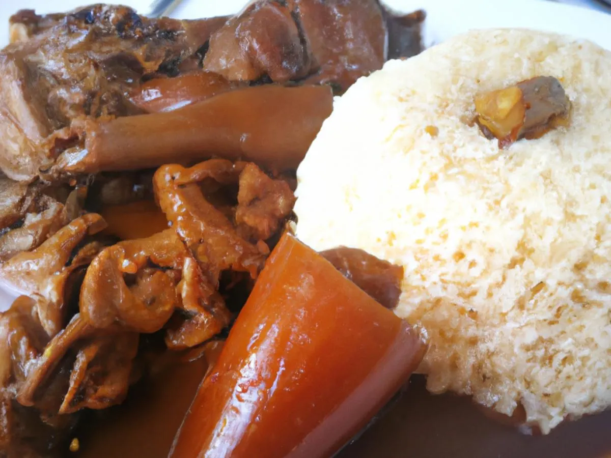 Braised Chicken in Brown Sauce & Pig's Intestine in Brown Sauce served with White Rice Braised Chicken in Brown Sauce & Pig's Intestine in Brown Sauce served with White Rice