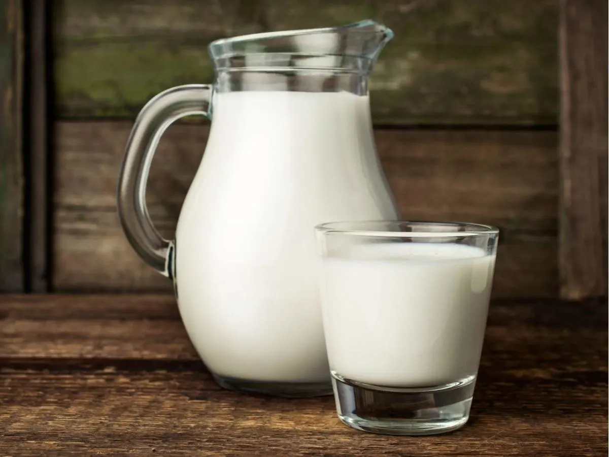 Whole Milk Whole Milk