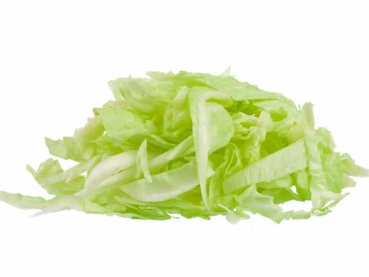 Shredded Lettuce Shredded Lettuce