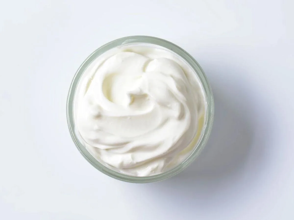 Plain Yogurt Plain Yogurt