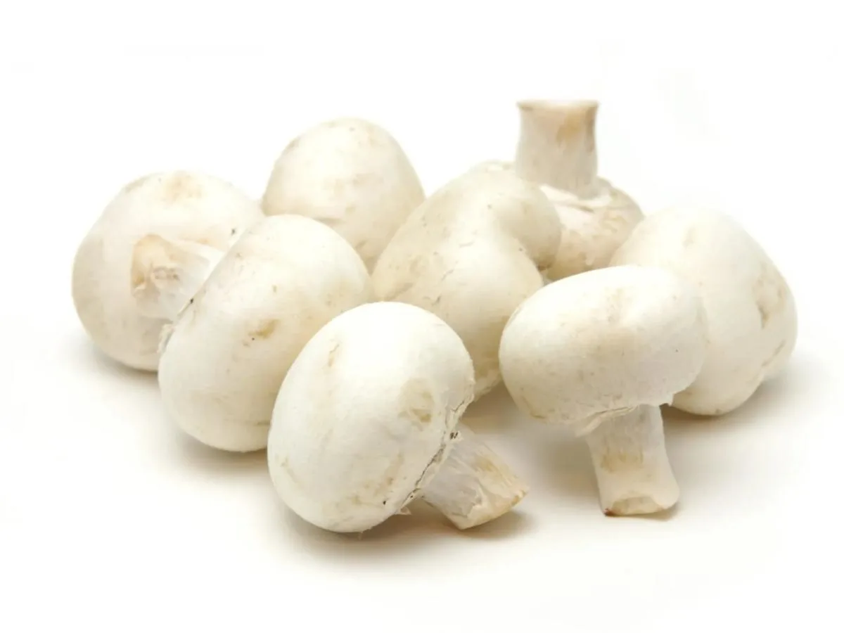 White Mushrooms White Mushrooms