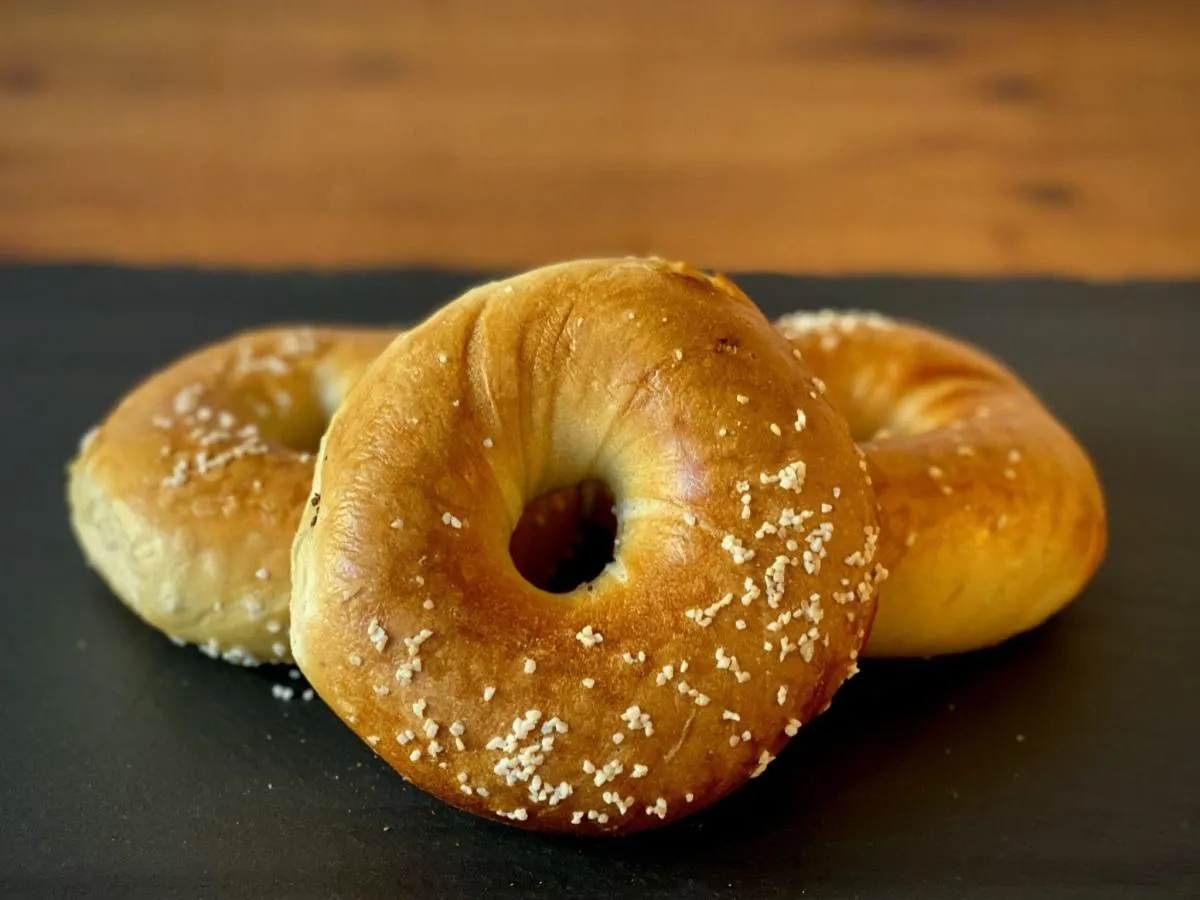 Salt Bagel Salt Bagel