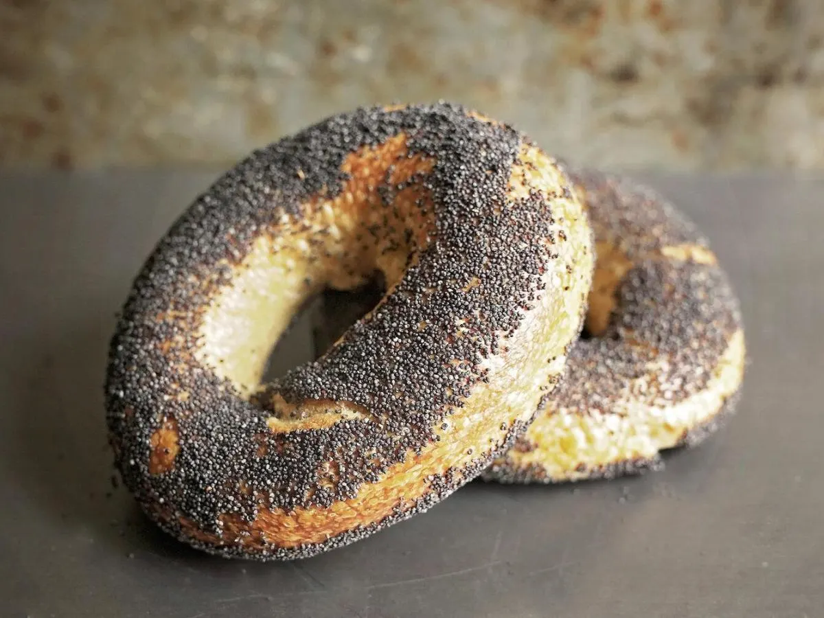 Poppy Seed Bagel Poppy Seed Bagel