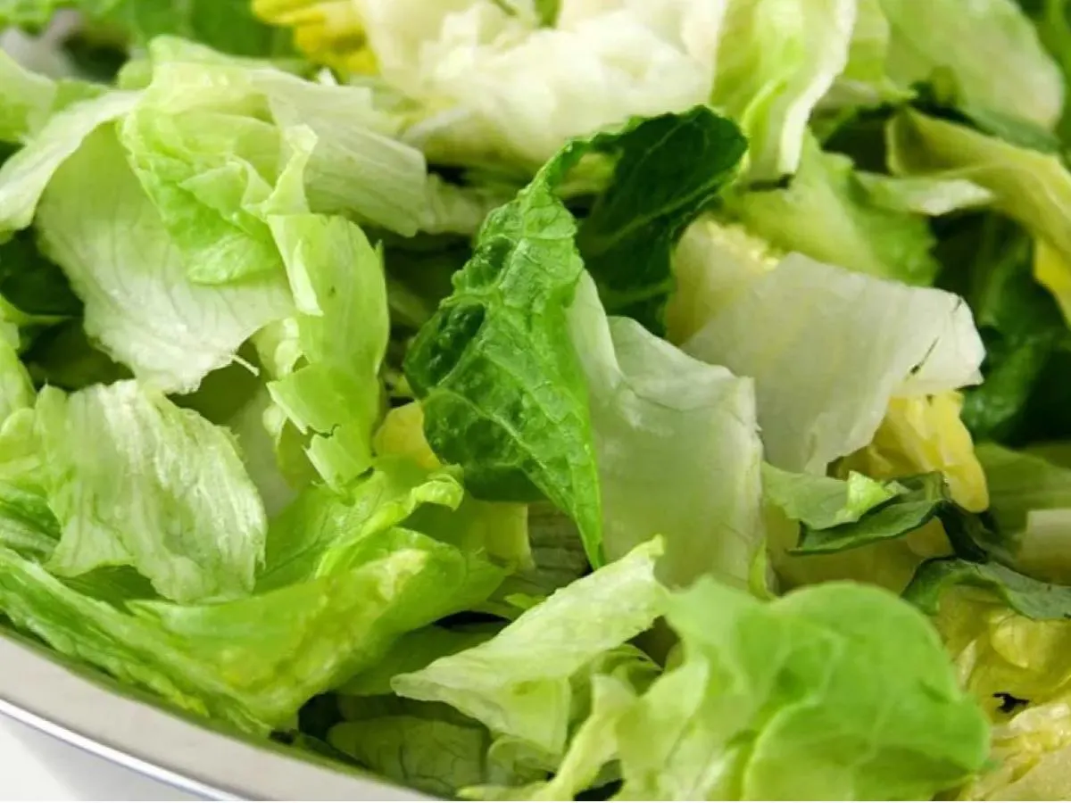 Romaine Lettuce