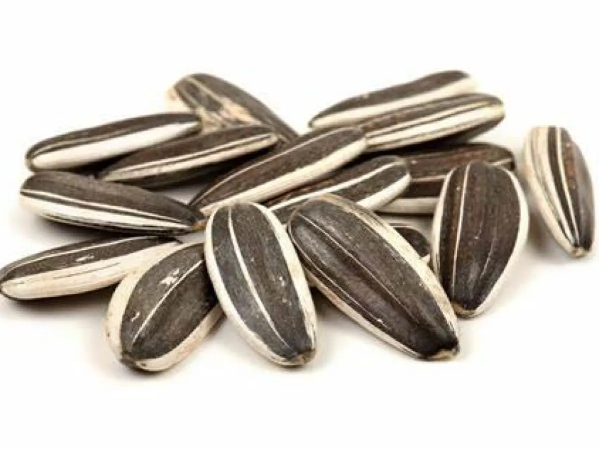 Sunflower Seeds Sunflower Seeds