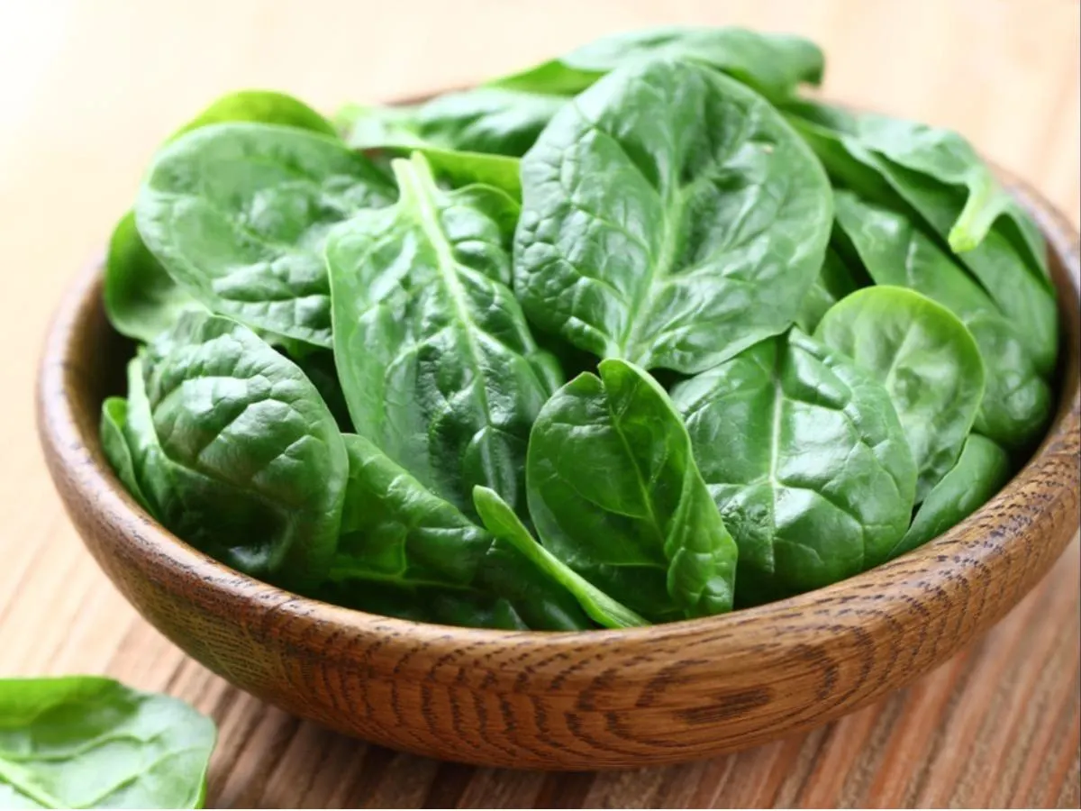 Baby Spinach Baby Spinach
