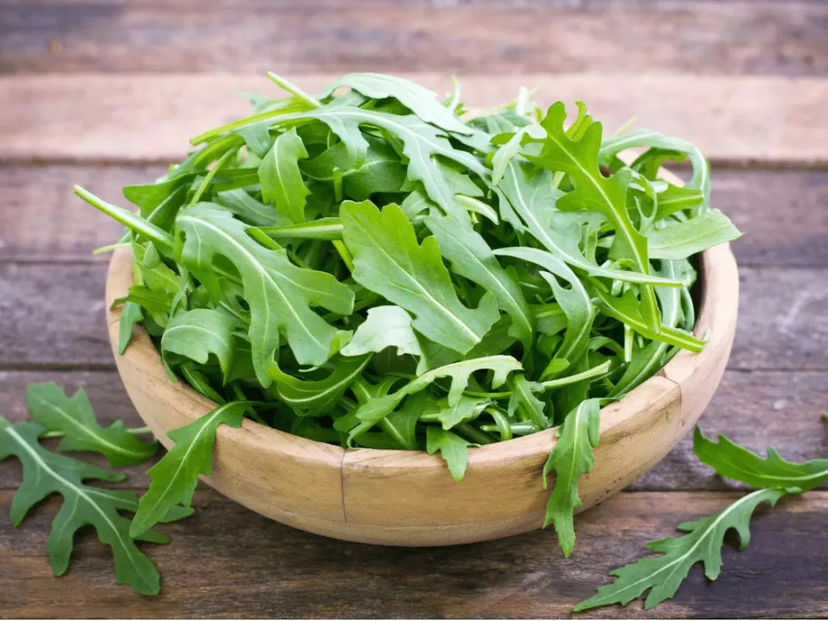 Baby Arugula Baby Arugula