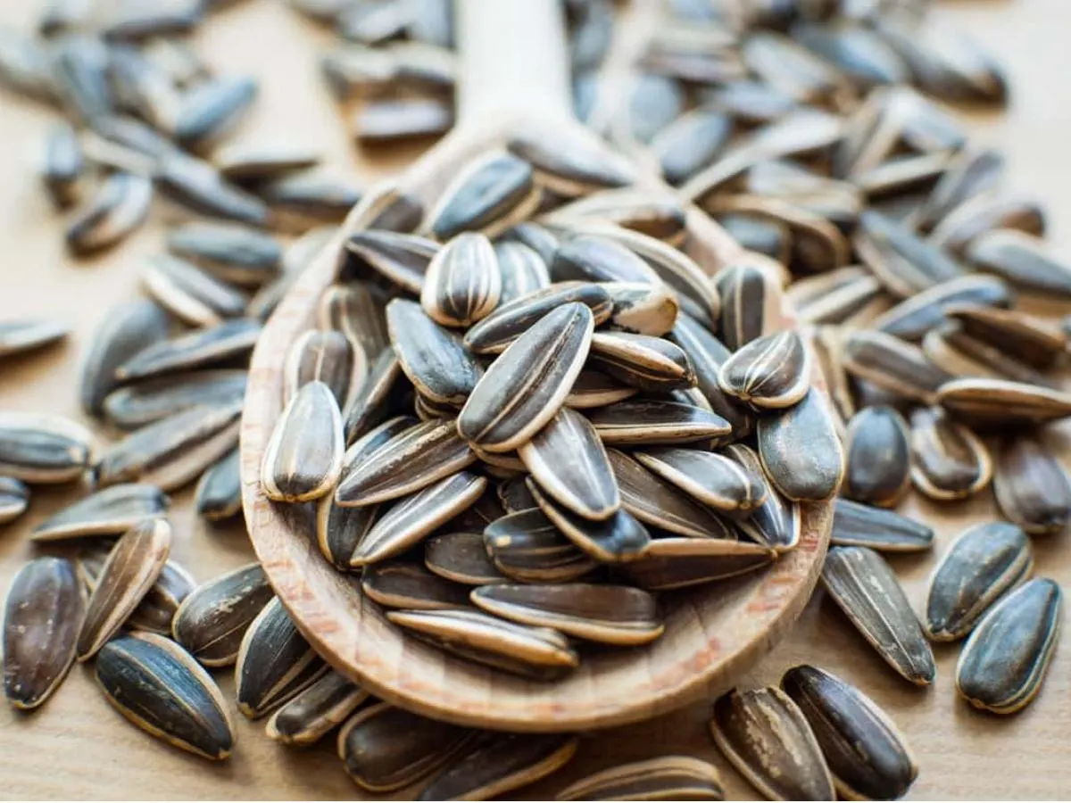 Sunflower Seeds Sunflower Seeds