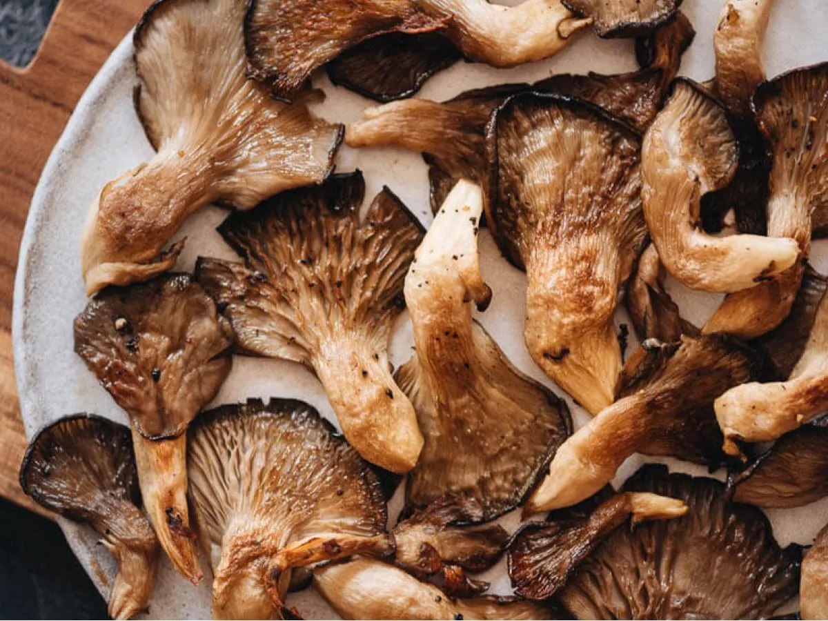 Grilled Whole Oyster Mushroom Grilled Whole Oyster Mushroom