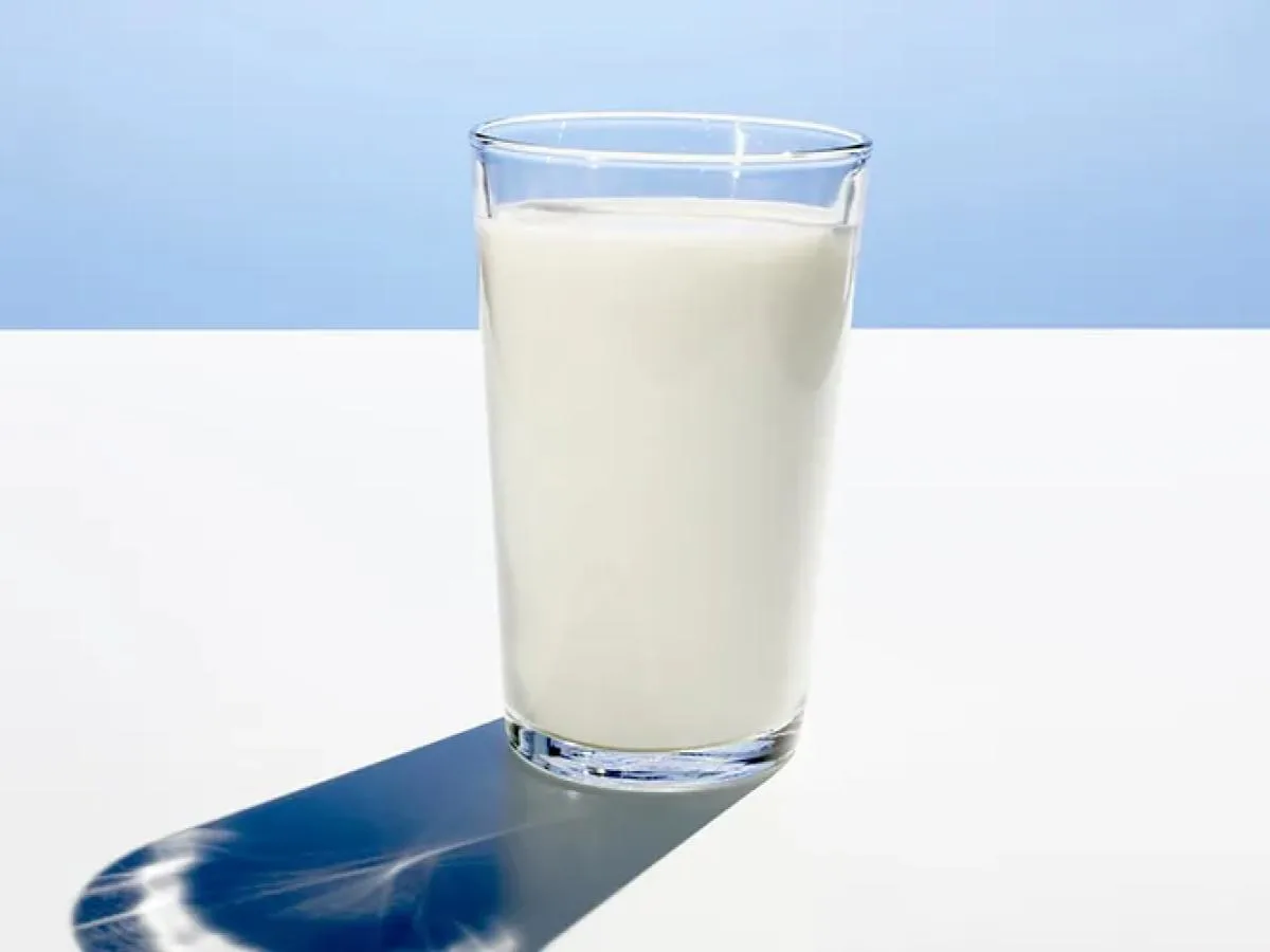 Whole Milk Whole Milk