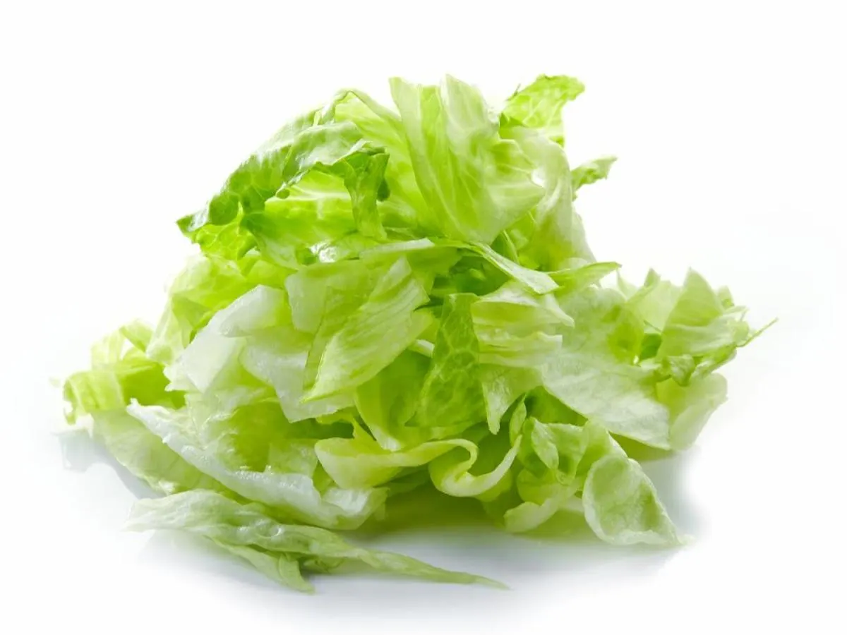 Lettuce Lettuce