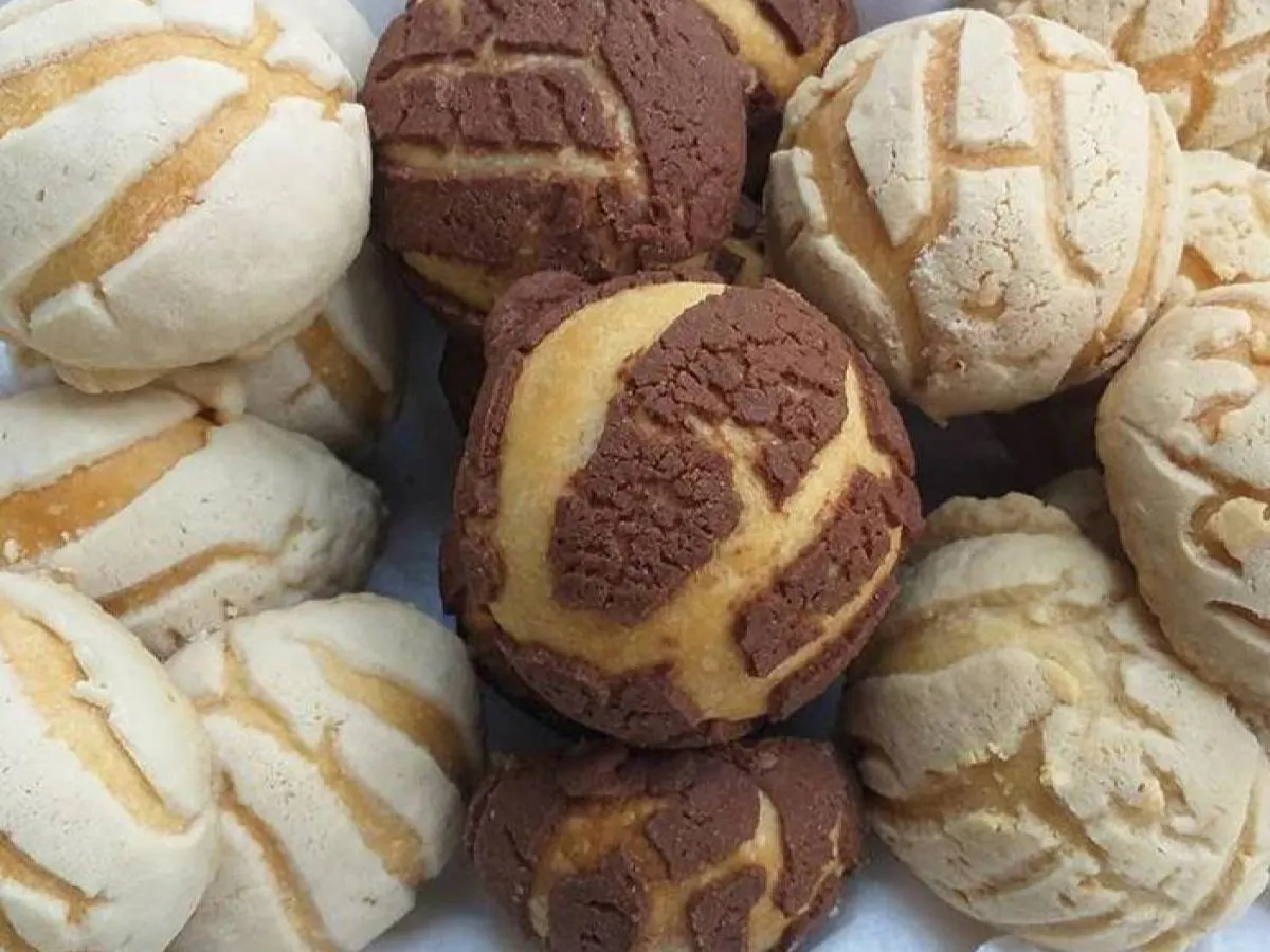 Mini Conchas Mini Conchas