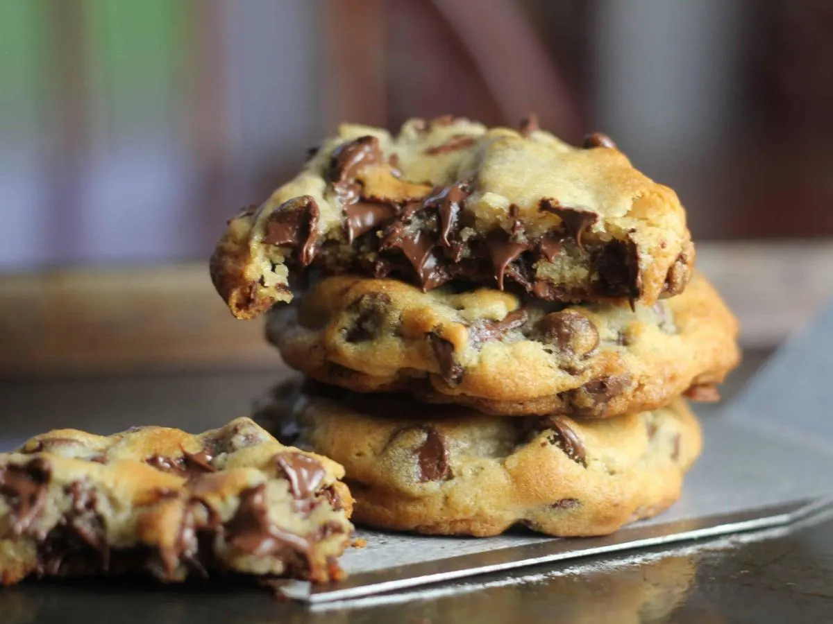 Chocolate Chip Cookie