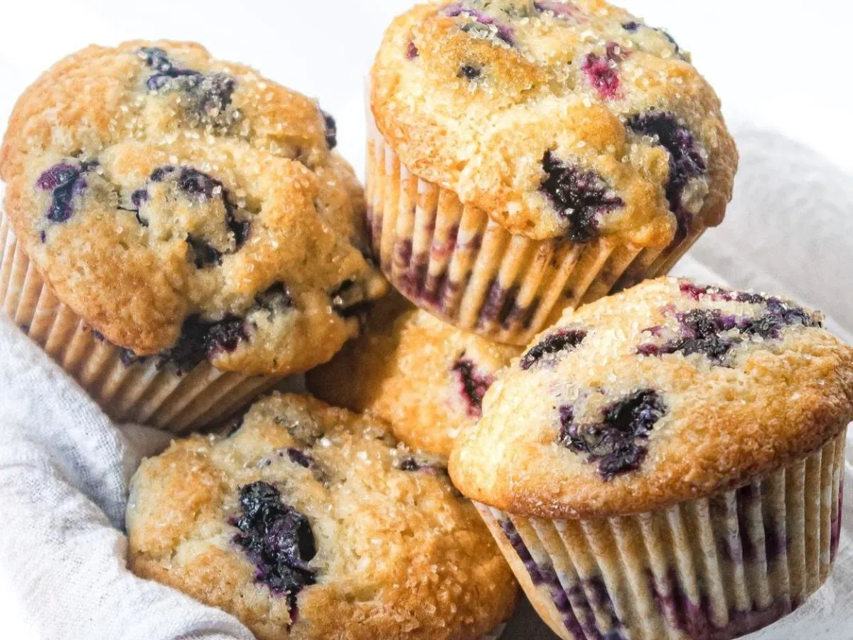 Blueberry Muffin