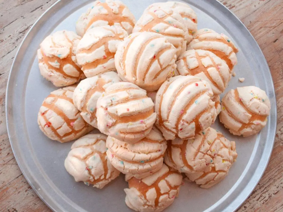 Mini Conchas Mini Conchas