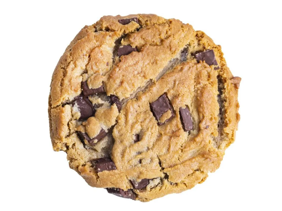 Sandy’s Amazing Chocolate Chunk Manifesto Cookie Sandy’s Amazing Chocolate Chunk Manifesto Cookie