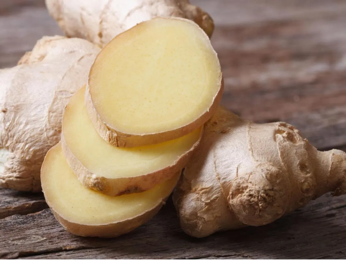 Ginger Ginger