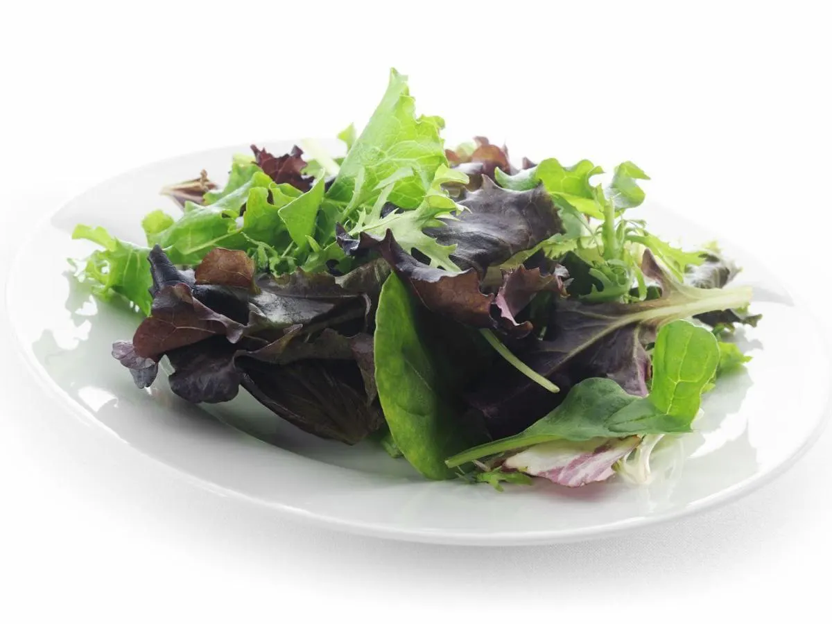 Organic Mesclun Greens Organic Mesclun Greens