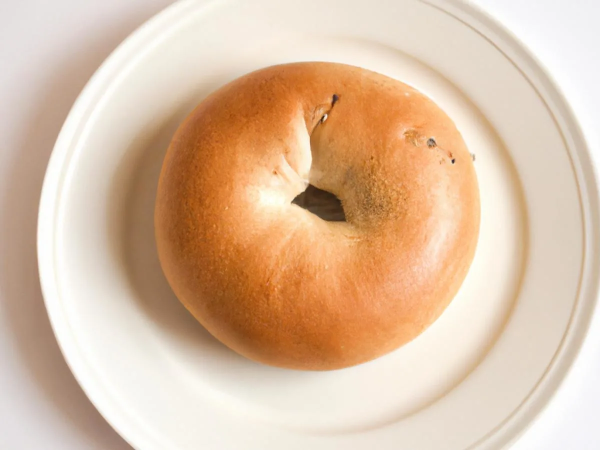 Plain Bagel Plain Bagel